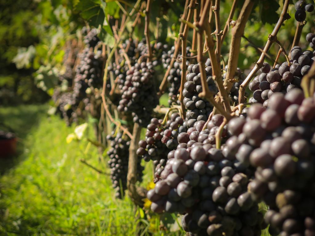 Il Molinaccio Di Montepulciano Villa Bagian luar foto